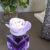 Campos de lavanda